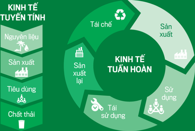 Kinh tế tuần hoàn